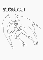 coloriage chaotic takinom